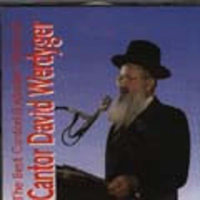 David Werdyger - Best Cantorial