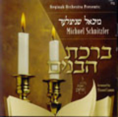 Michoel Schnitzler - Birchas HaBonim