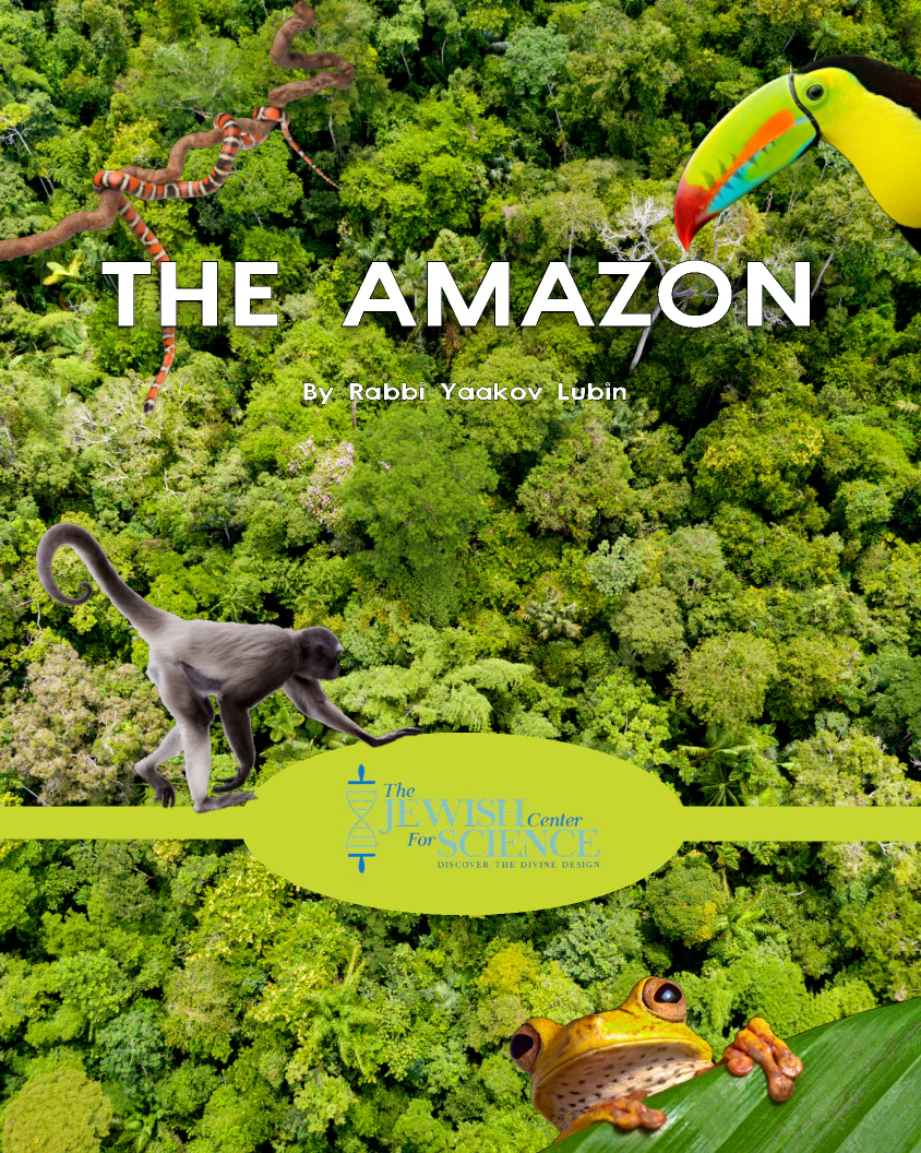 Borchi Nafshi Series - The Amazon (Video)