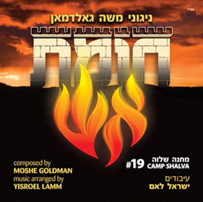 Camp Shalva - Camp Shalva 19 - Chomas Aish