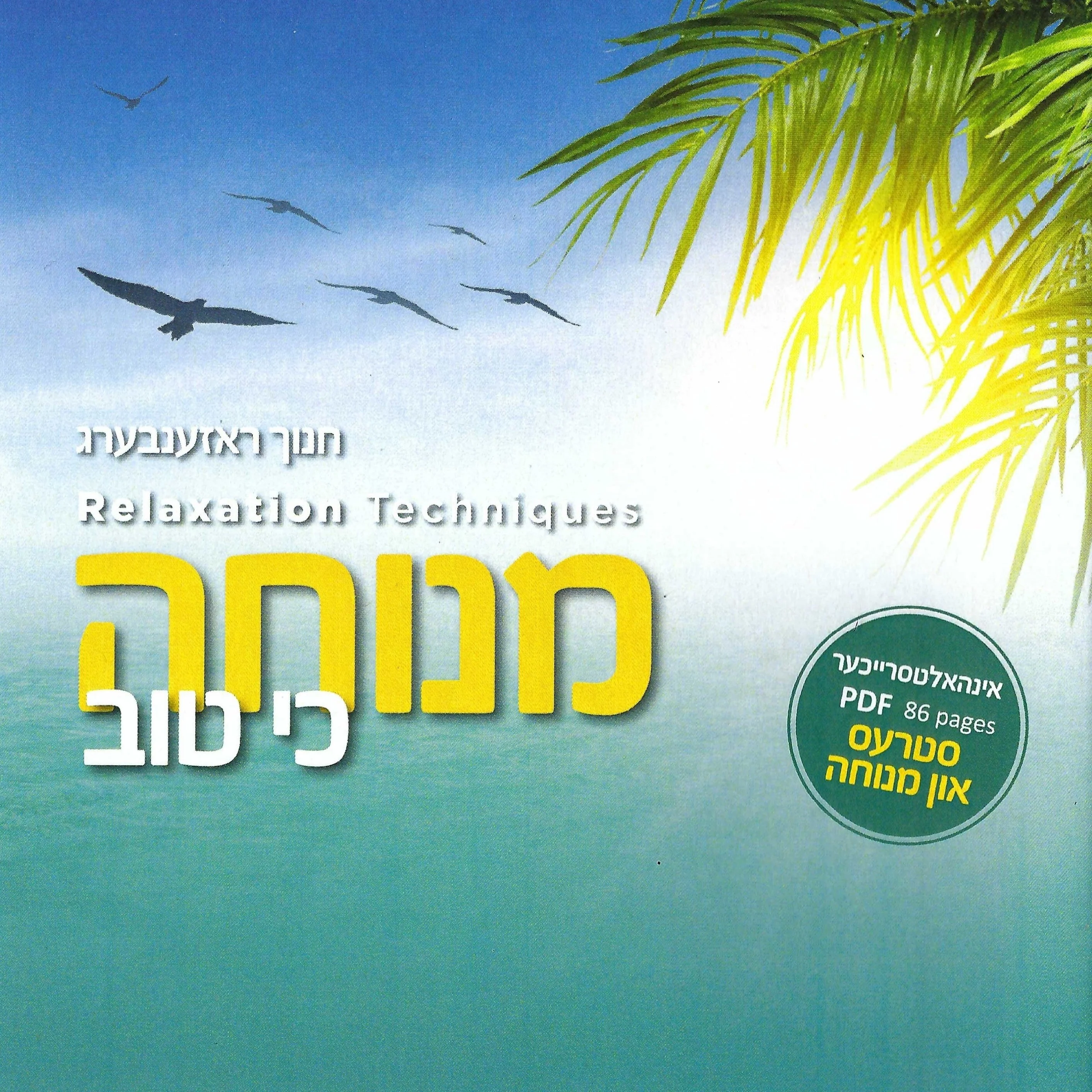 Chanoch Rosenberg - Relaxation Techniques USB