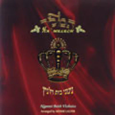 Viznitz - Hamelech