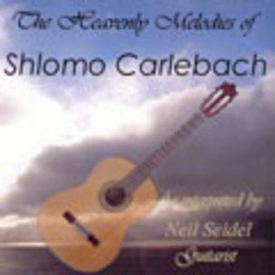 Niel Seidel - Heavenly Melodies