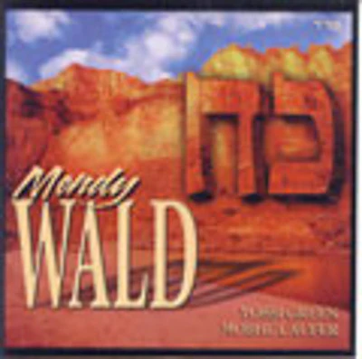 Mendy Wald - Koach