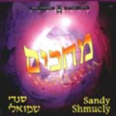 Sandy Shmuely - Michakim