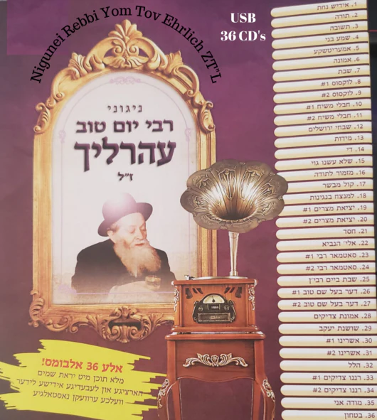 MRM Music - Rebbi Yom Tov Ehrlich Collection USB
