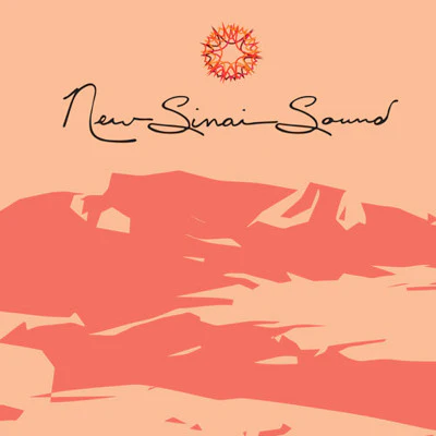 Cecelia Margules - New Sinai Sound