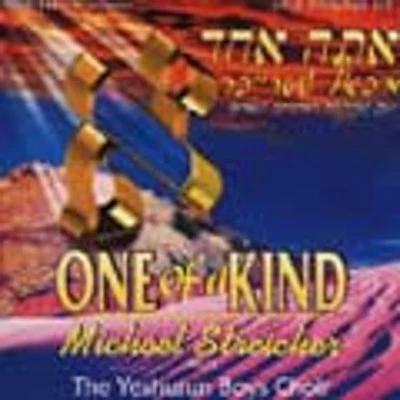 Michoel Streicher - One Of A Kind