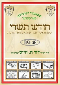 R' Duvid C. Weiss - Chodesh Tishrei