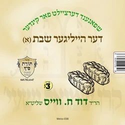 R' Duvid C. Weiss - Shabbos Kodesh