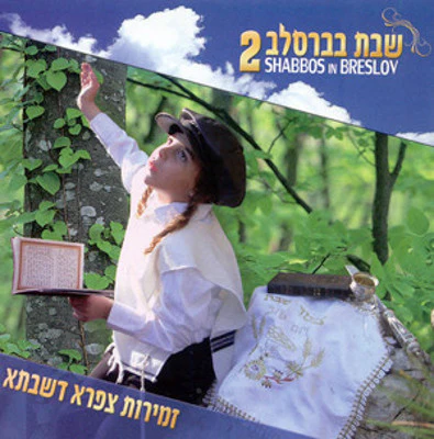 Various - Shabbos in Breslov 2