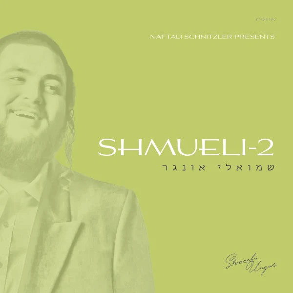 Shmueli-2 - Image 3