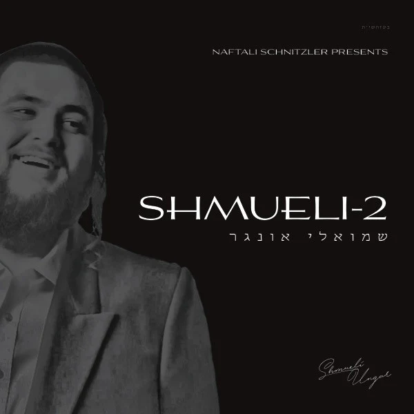 Shmueli-2 - Image 4