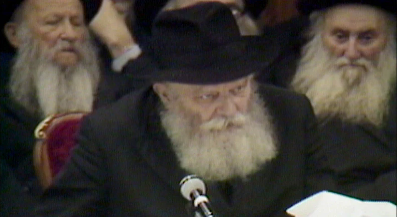 The Rebbe's Niggunim - DVD (Chabad Version) - Image 3