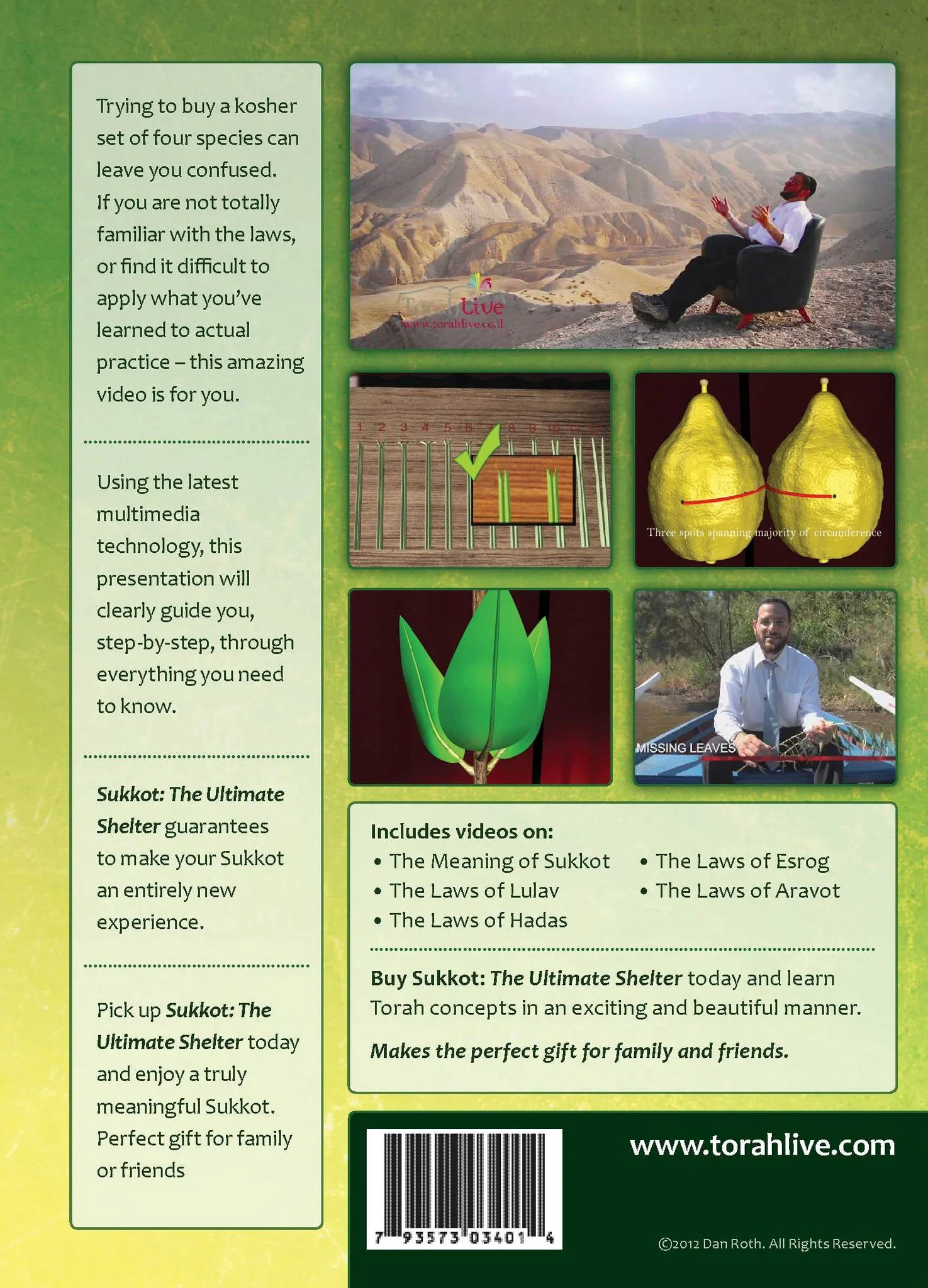 Torah live - Sukkot - Image 2