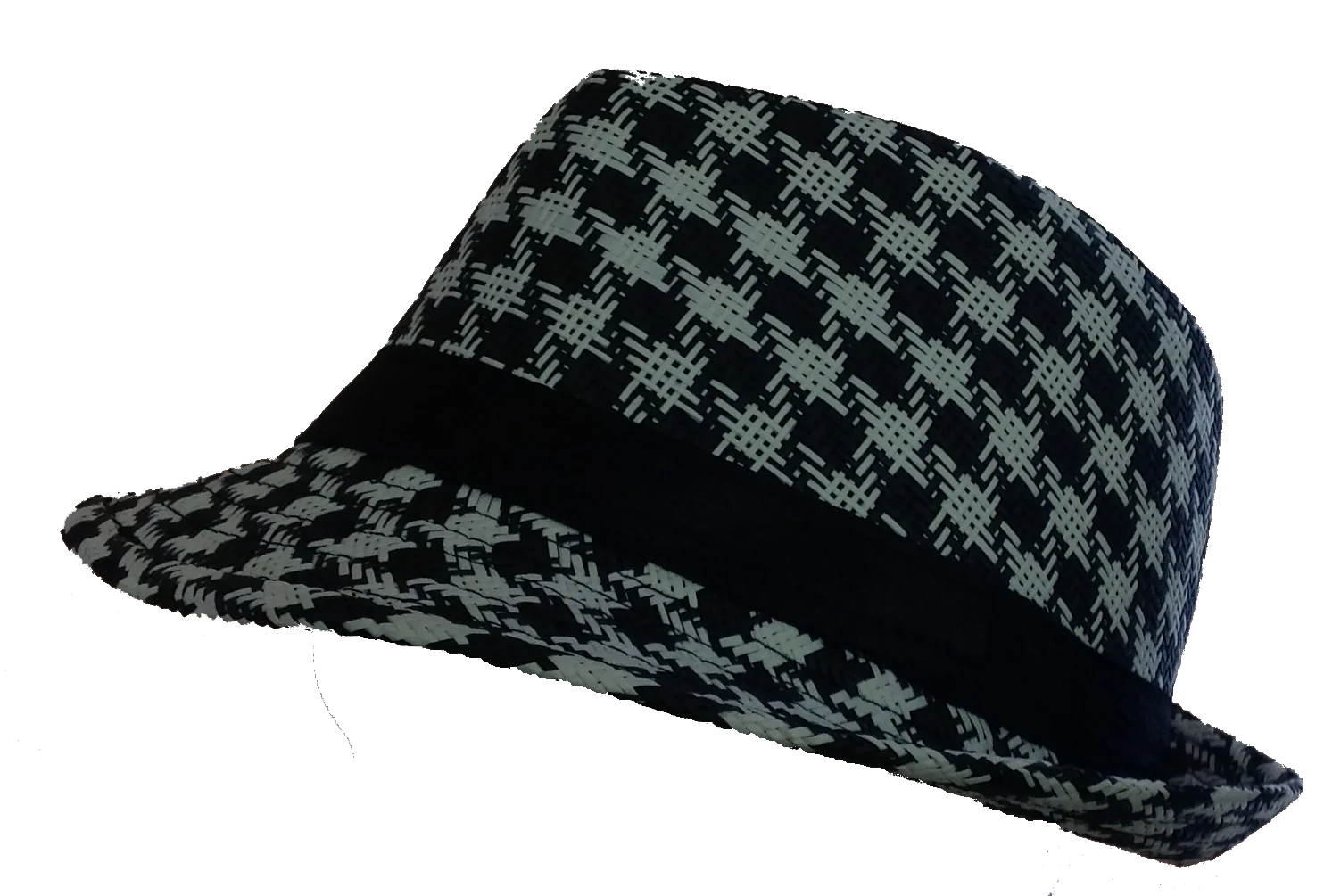 Twins From France Hat