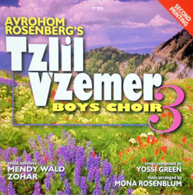 Tzlil Vzemer - Volume 3