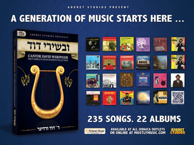 David Werdyger - Uvishirei Dovid - Image 2